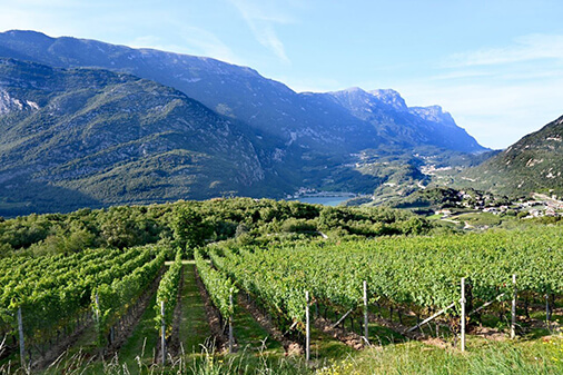 lake vineyards mountains toblino